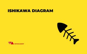 ishikawa